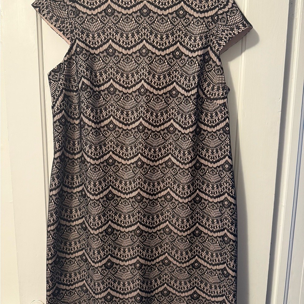 Eliza J Black and White Lace Shift Dress